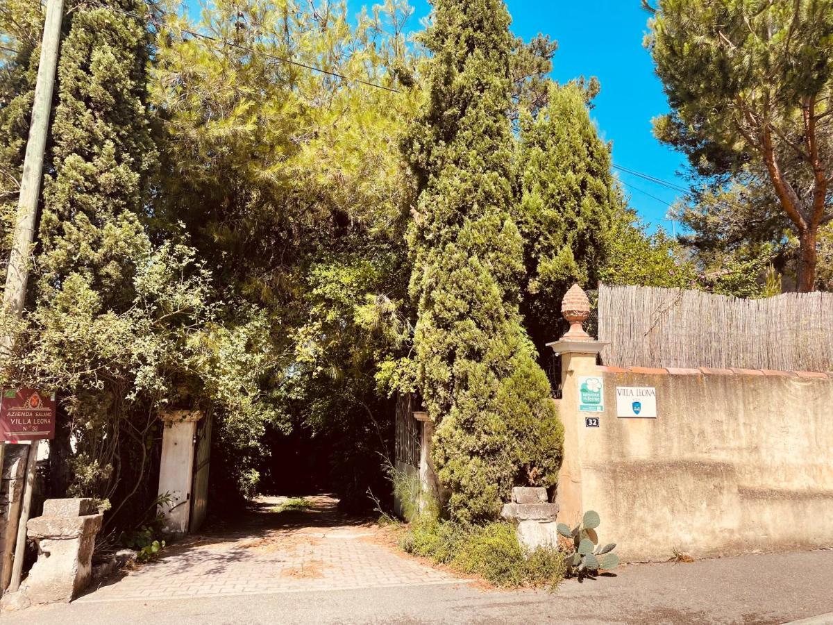 Villa Leona Clim Park Bollène Exterior foto